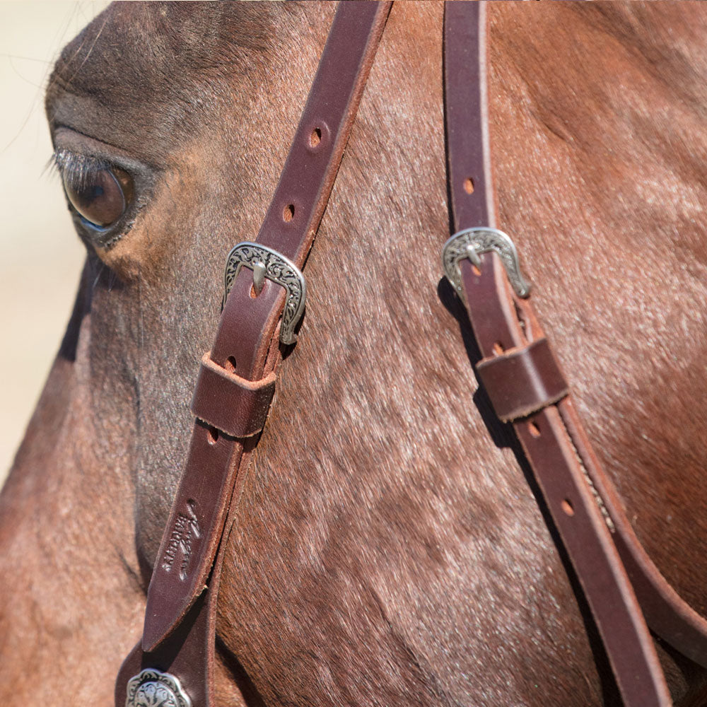 Angus Barrett Sure Fit La Pin Bridle features a beautiful shaped brow and black accented hardware