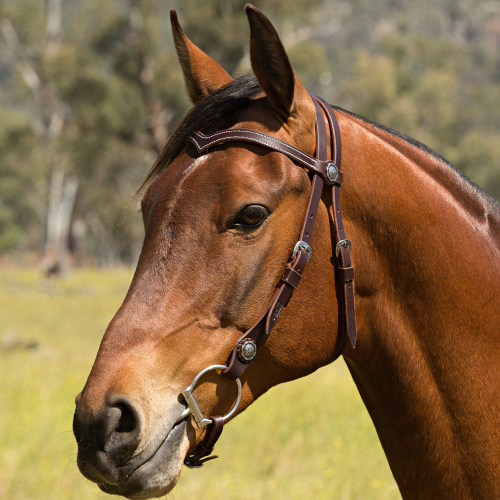 Surefit La Pin Leather Bridle | Angus Barrett Saddlery