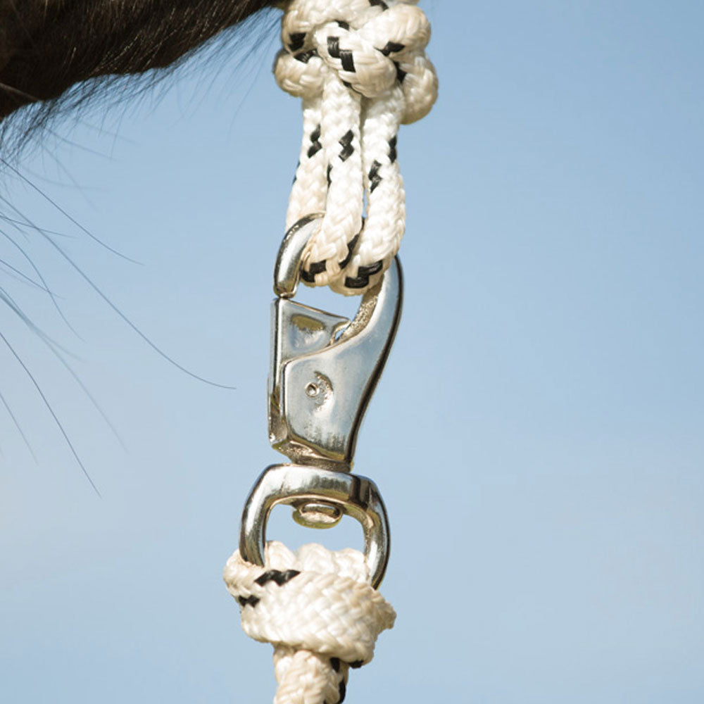 Clips For Lead Rope Lead Rope Clip | Lead Rope Clips Online Australia - Angus Barrett Saddlery