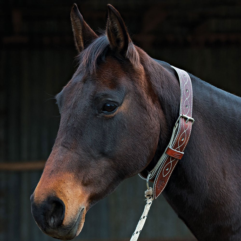 Leather Horse Neck Tie | Pull Back Collar - Angus Barrett Saddlery