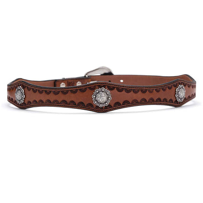 Montana Belt