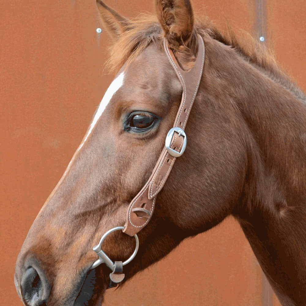 One Ear Leather Bridle - Angus Barrett Saddlery
