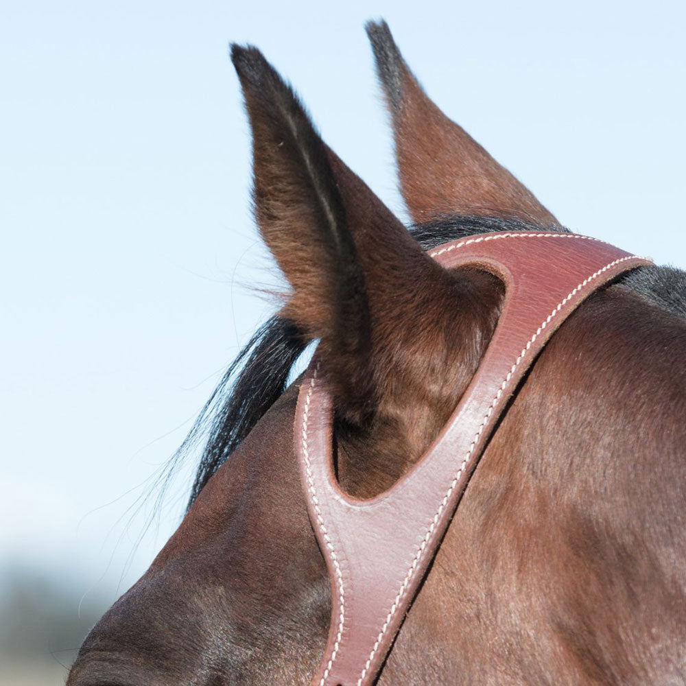 One Ear Fitted Leather Bridle - Angus Barrett Saddlery