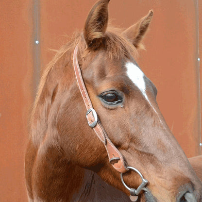 One Ear Leather Bridle - Angus Barrett Saddlery