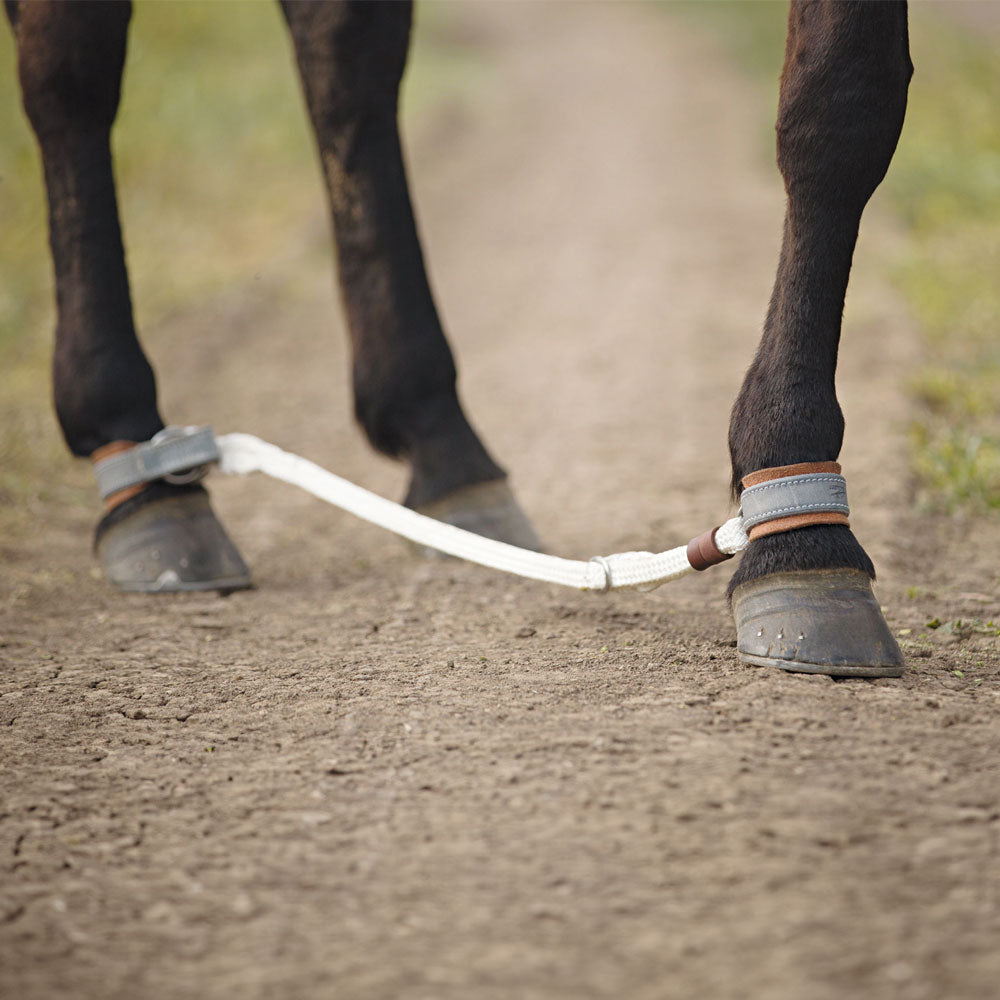 Angus Barrett's Adjustable Sideline Set with Medium Quick Release Hobbles