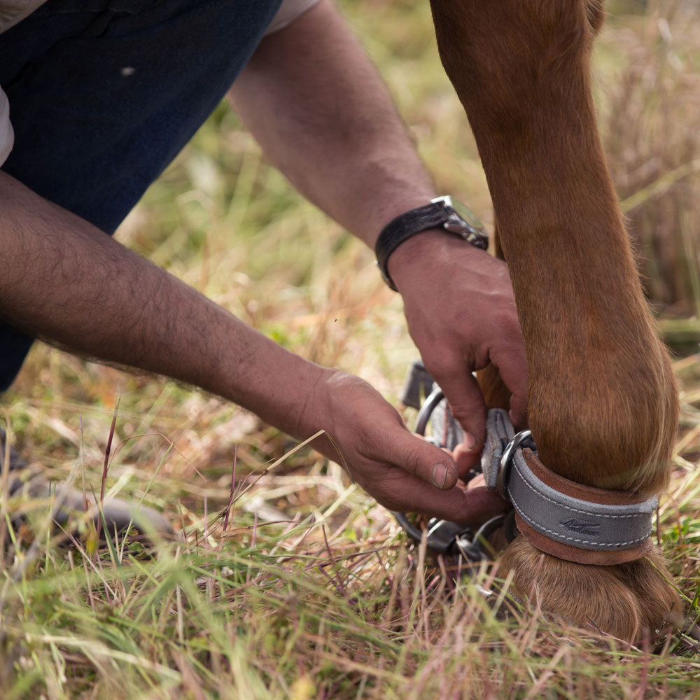 Angus Barrett Saddlery Quick Release Hobble Chain Set