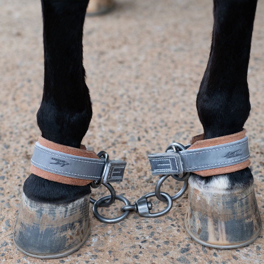 Quick Release Hobble Chain Set