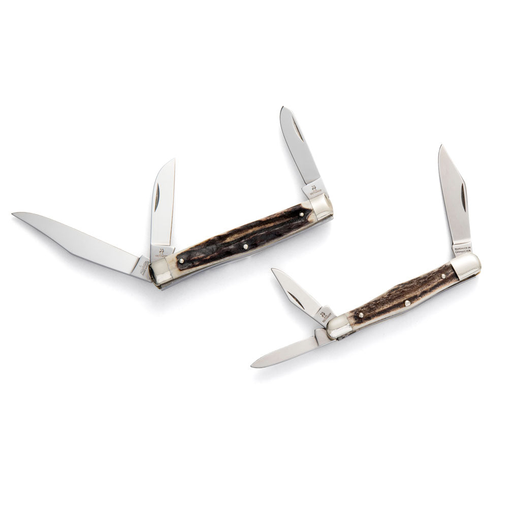 Robert Klaas Pocket Knife with Genuine Stag Handle