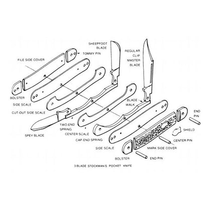 Robert Klaas Pocket Knife - 3 Blade Stockman's Pocket Knife