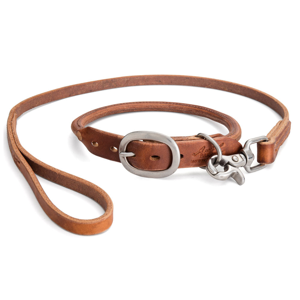 Rolled Leather Dog Collar with Short Lead - Tan and Stainless Steel Hardware