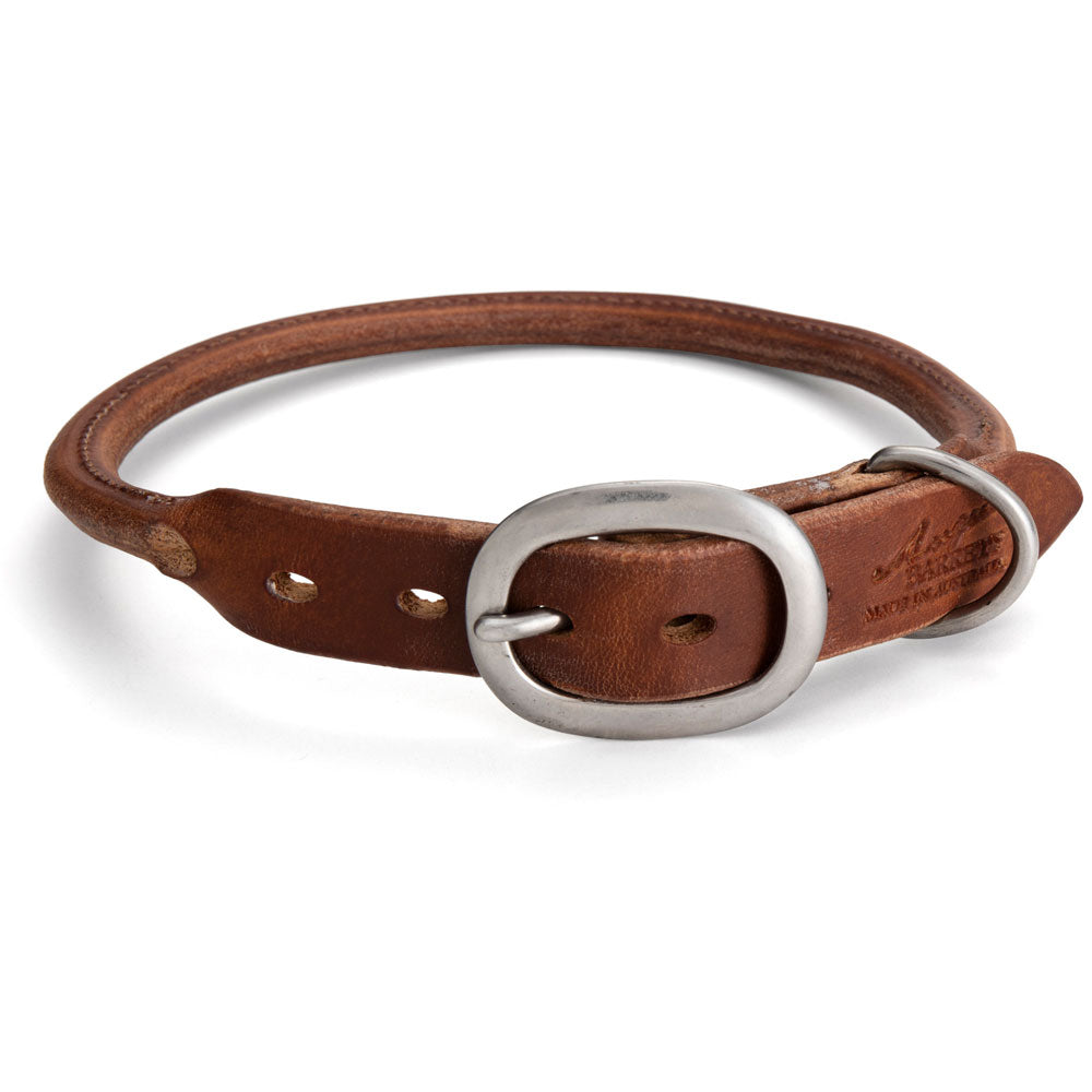 Rolled Leather Dog Collar - Tan with Stainless Steel Buckle