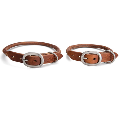 Rolled Leather Dog Collars - Tan with Stainless Steel Buckles