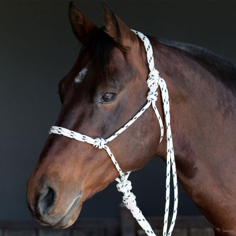 Rope Halter | Buy Australian Made Rope Halters Online - Angus Barrett ...