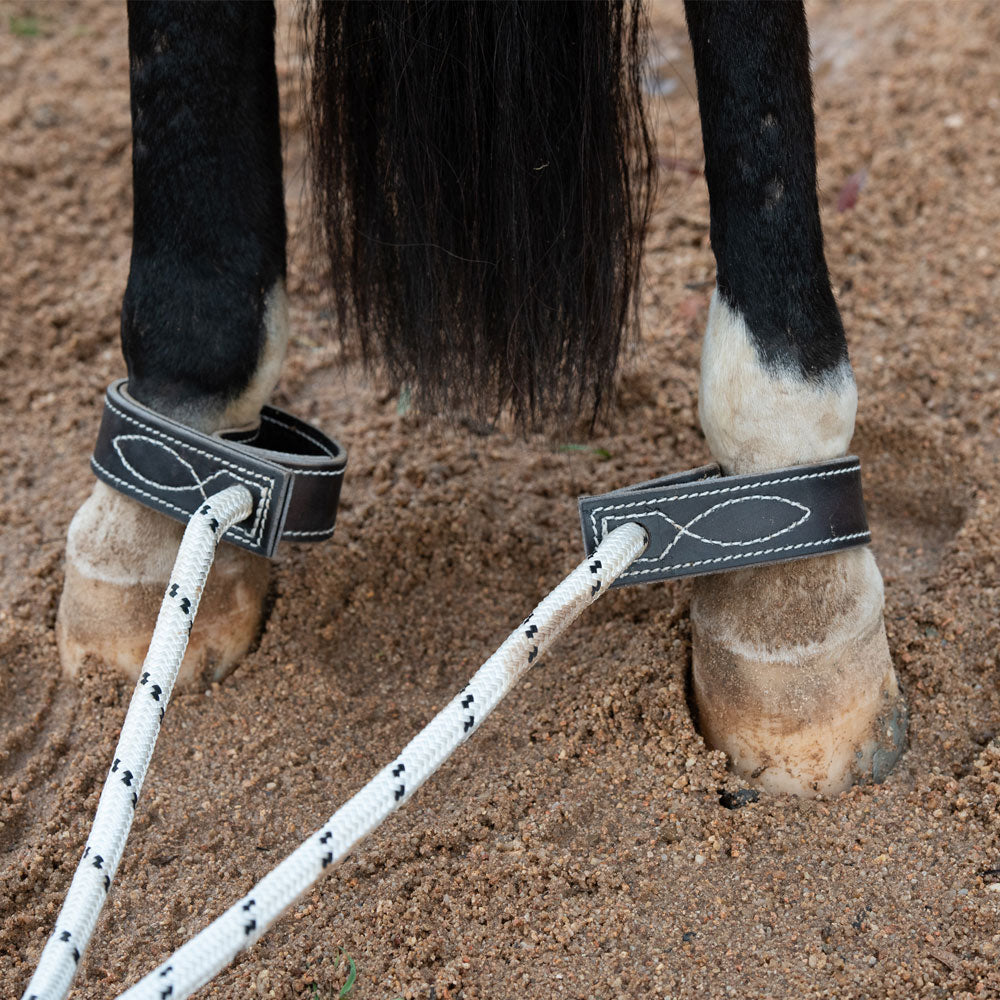 Breeding Hobbles with Fetlock Straps