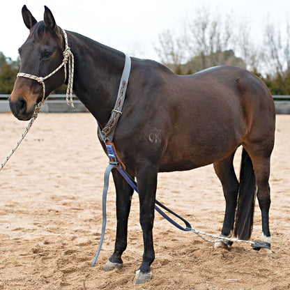 Serving Hobbles | Angus Barrett Saddlery