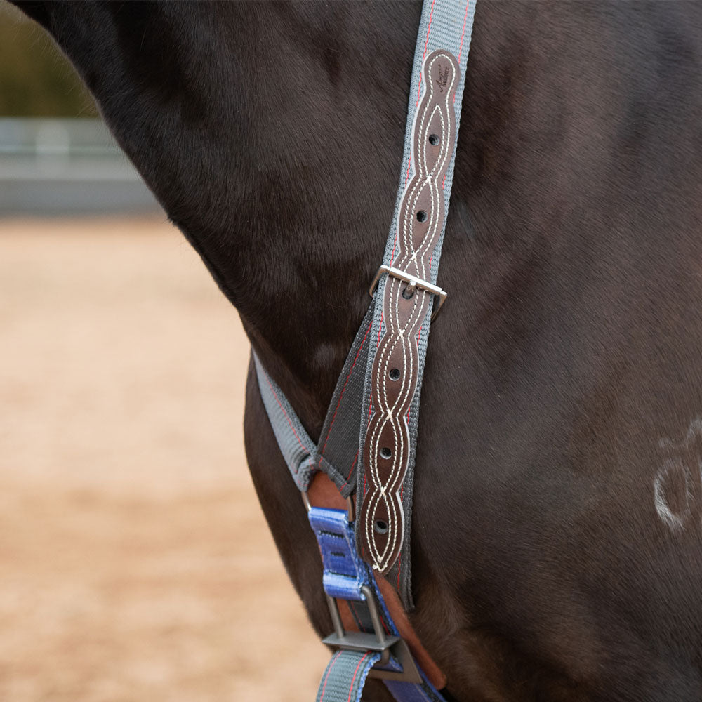 Angus Barrett Saddlery Serving Hobbles