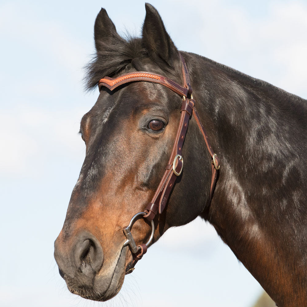 Station Bridle Dark Natural Leather with Braided Brow | Angus Barrett Saddlery