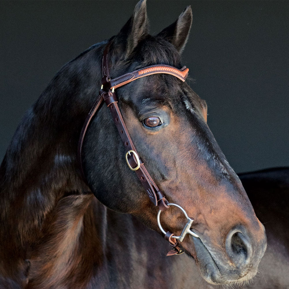 Station Bridle Dark Natural Leather with Braided Brow | Angus Barrett Saddlery