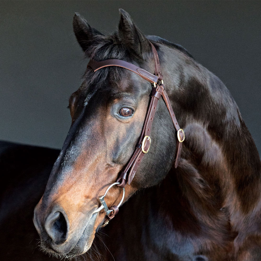 Station Bridle - Dark Natural bridle leather with solid brass buckles | Angus Barrett Saddlery