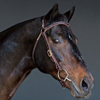 Station Bridle Fully Stitched (Dark Natural) Fully Stitched with Brass Hardware - Angus Barrett Saddlery