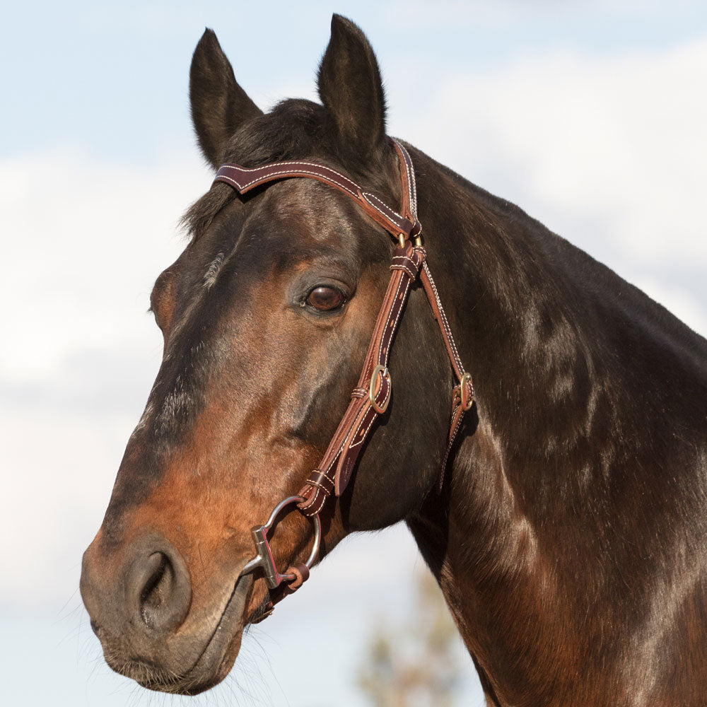 Station Bridle Fully Stitched (Dark Natural) - Angus Barrett Saddlery