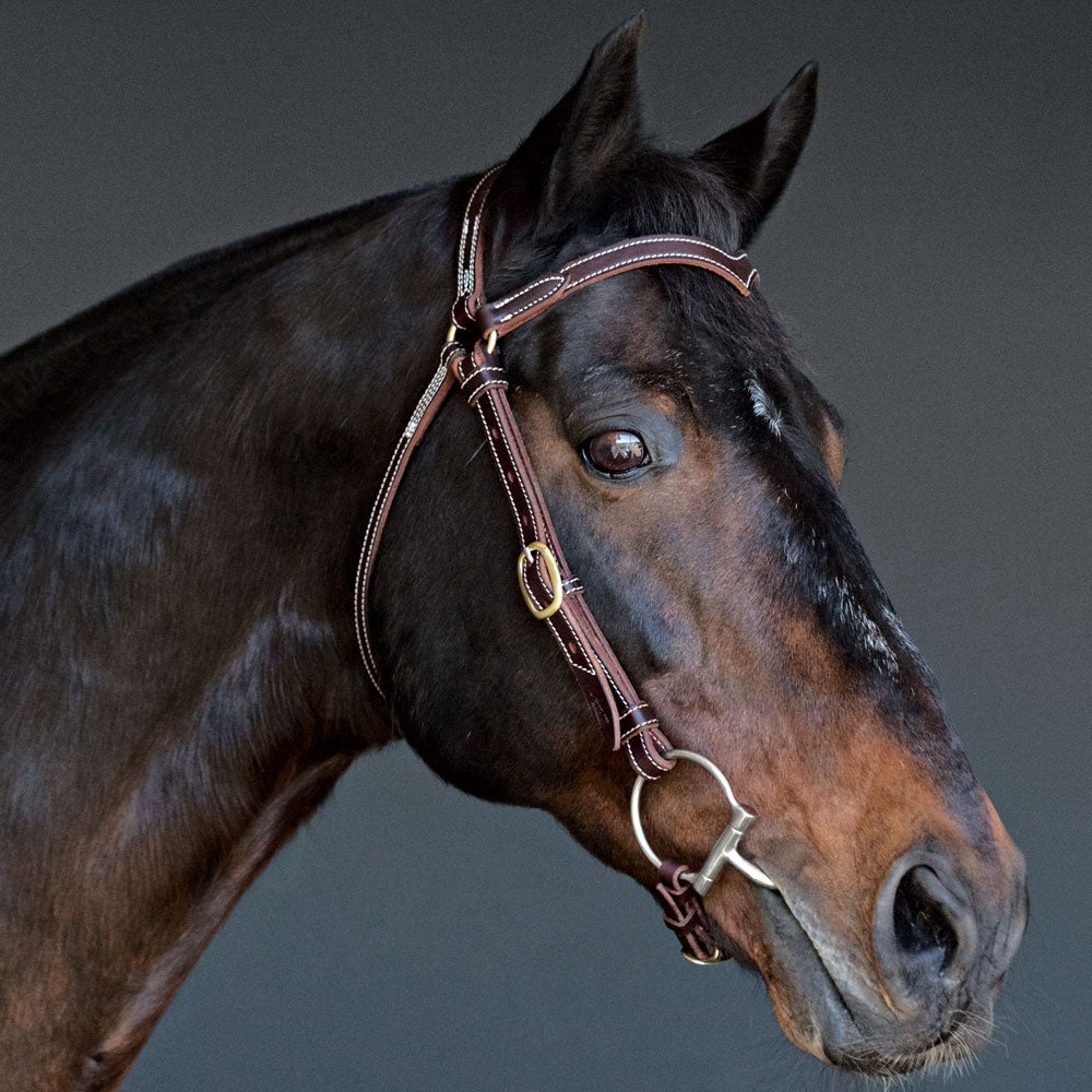 Station Bridle Fully Stitched (Dark Natural) with Stainless Steel Hardware - Angus Barrett Saddlery