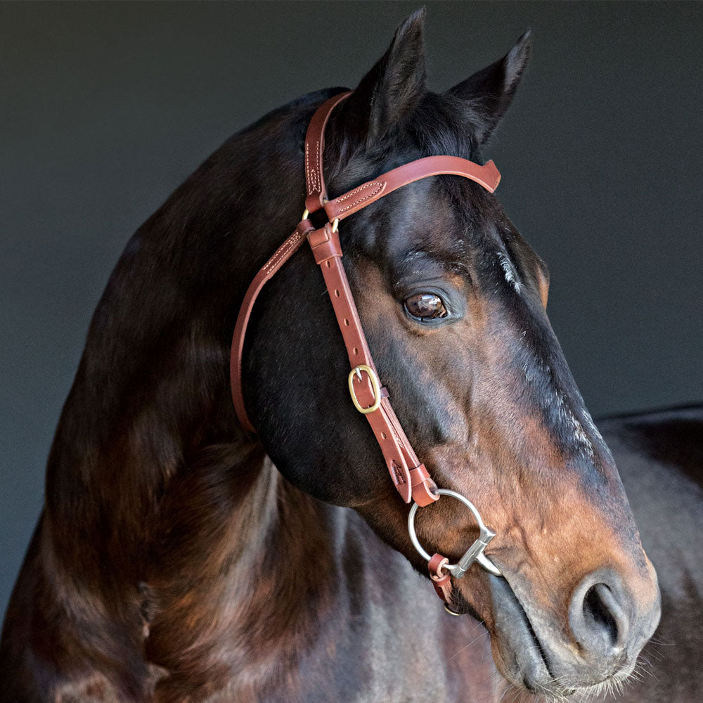 Leather Station Bridle Natural Leather with Brass Hardware | Angus Barrett Saddlery 