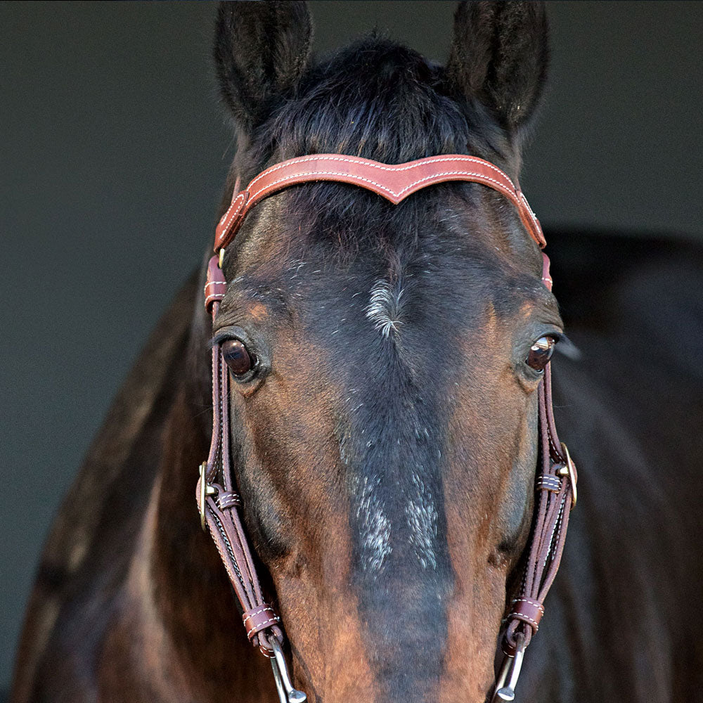Station Bridle with Fully Stitched V-Shaped Brow | Bridles
