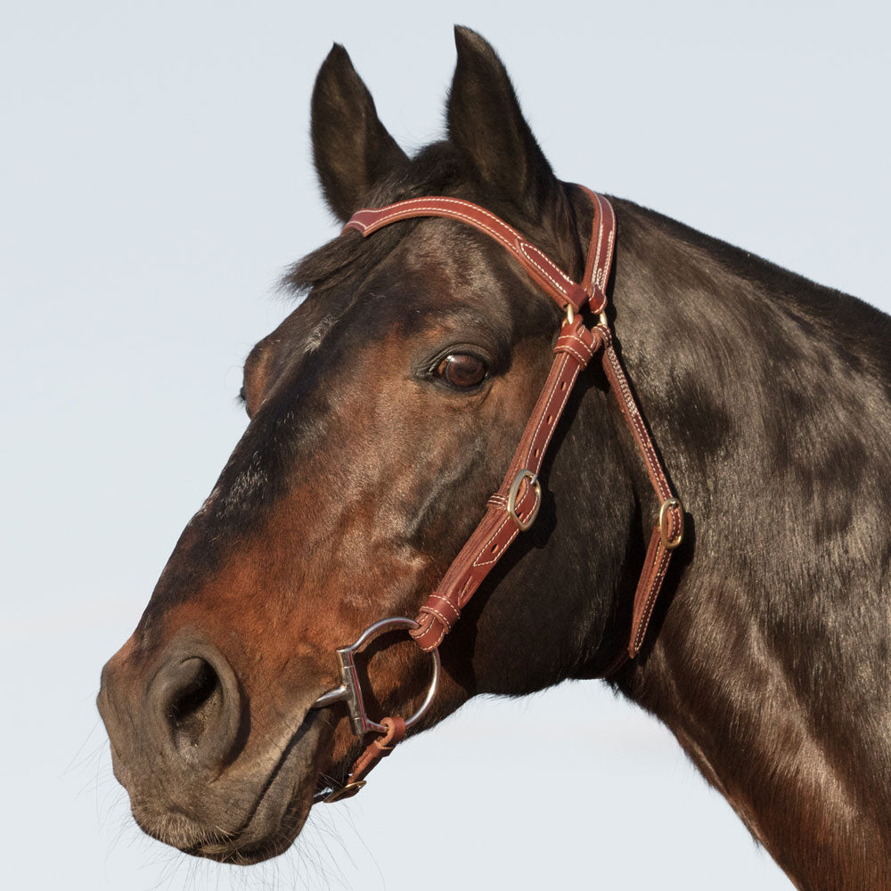 Station Bridle - Natural - V-shaped Brow - Fully Stitched - Brass hardware