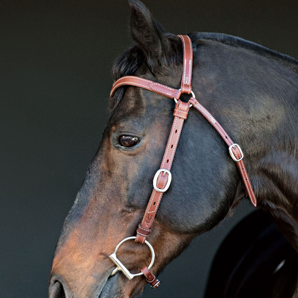 Station Bridle Natural Leather Fully Stitched with Brass Hardware - Angus Barrett Saddlery