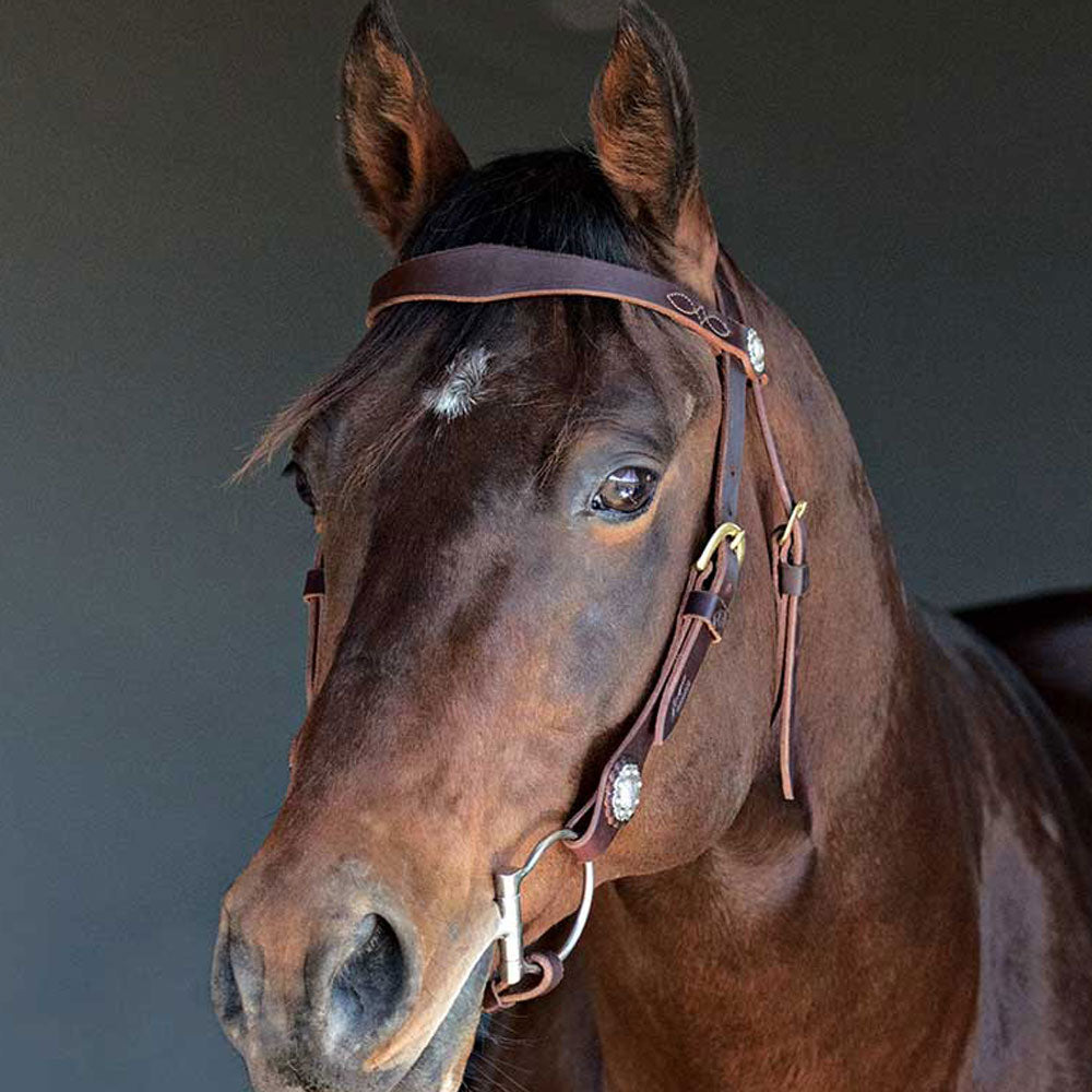Tassa Bridle with Shaped Brow | Angus Barrett Saddlery