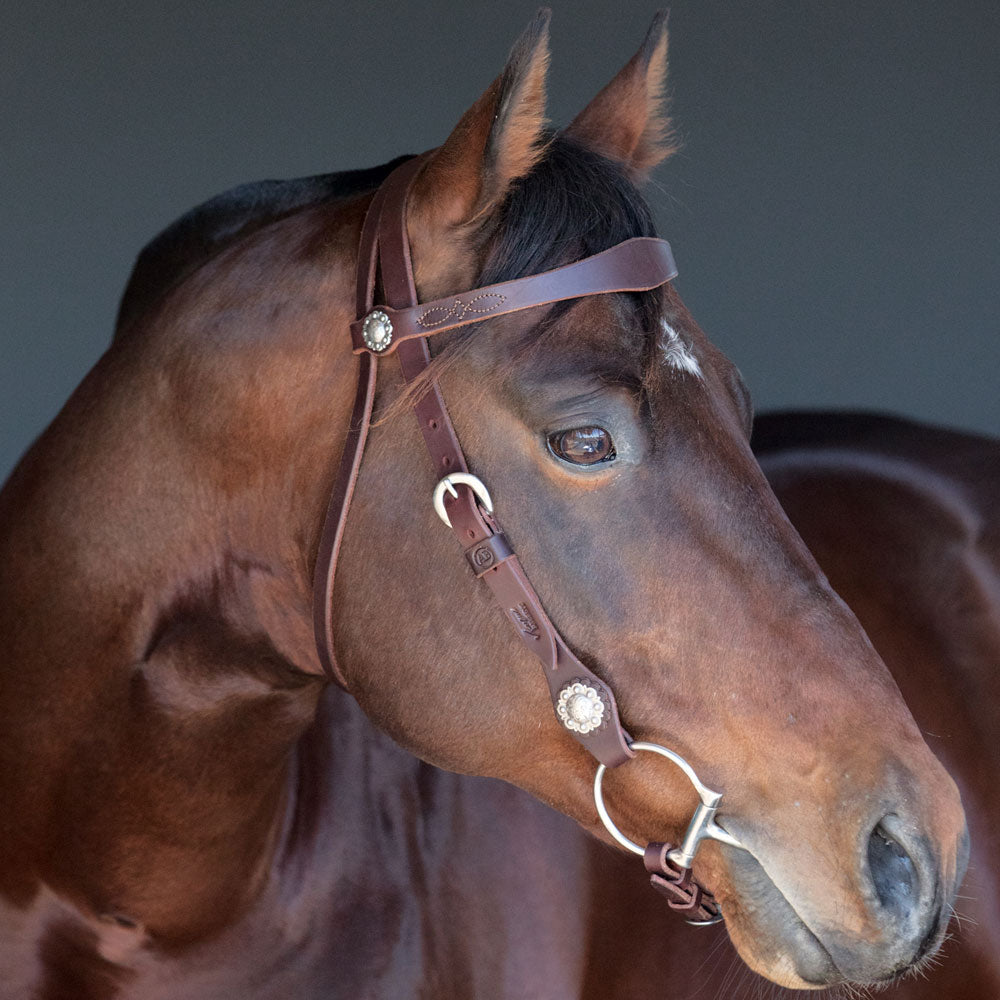 Tassa Bridle with Shaped Brow Band - Angus Barrett Saddlery