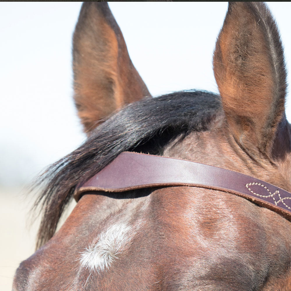 Angus Barrett's Sure Fit Shaped Brow Bridle