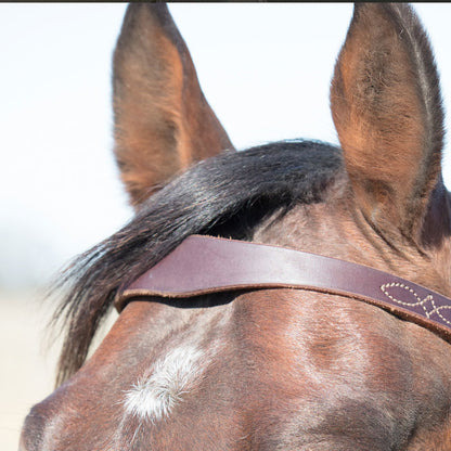 Angus Barrett's Sure Fit Shaped Brow Bridle