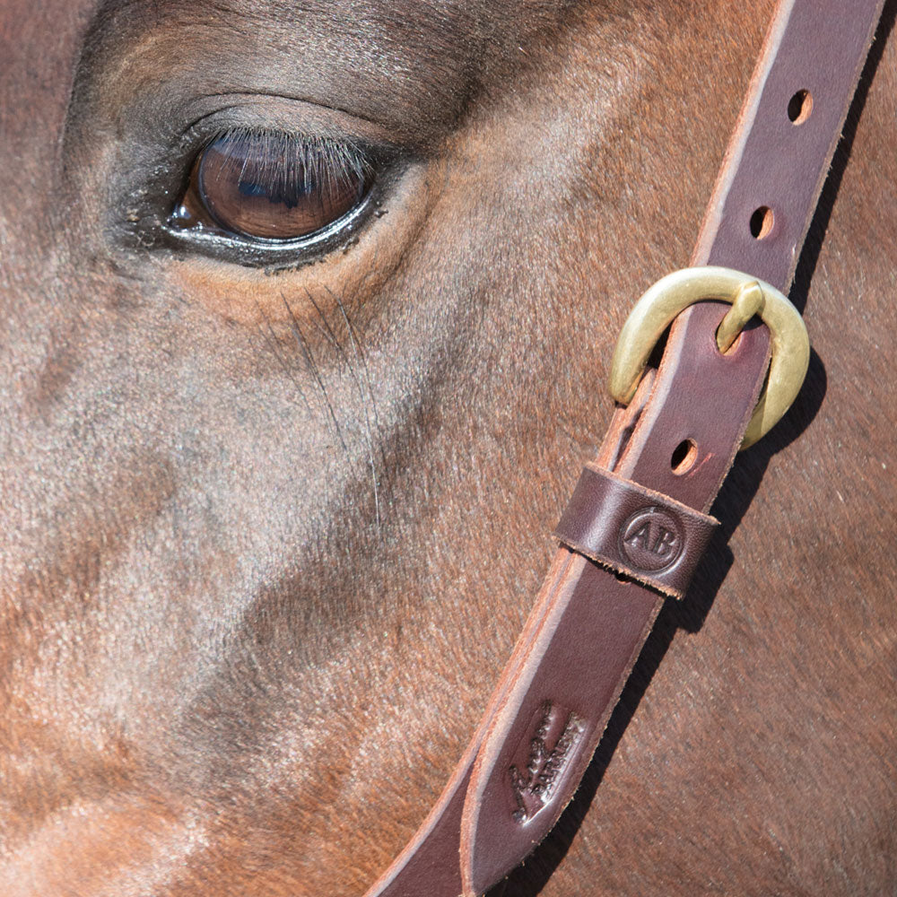 Sure Fit Tassa Shaped Brow Bridle - Angus Barrett Saddlery