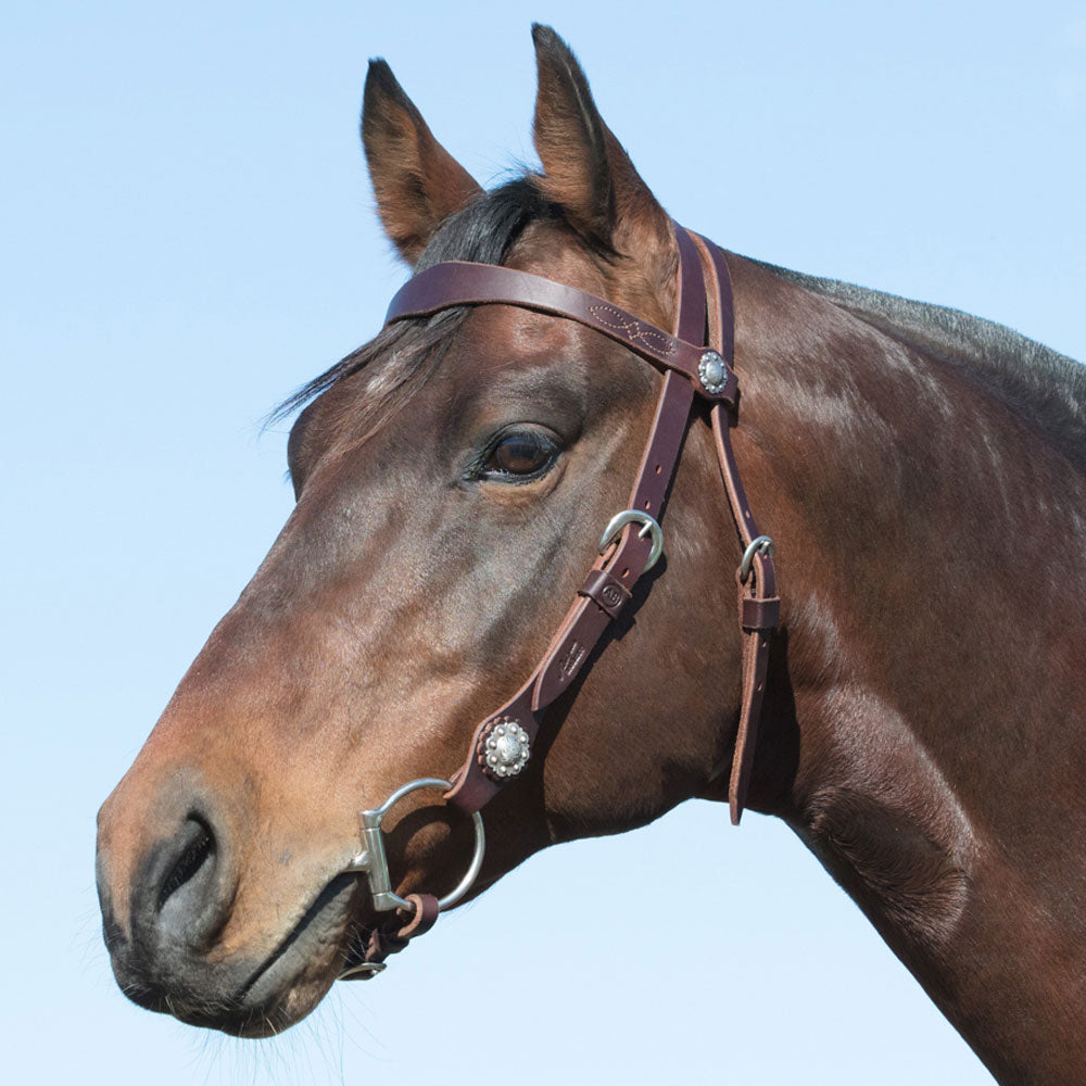 Angus Barrett&#39;s Sure Fit Shaped Brow Bridle