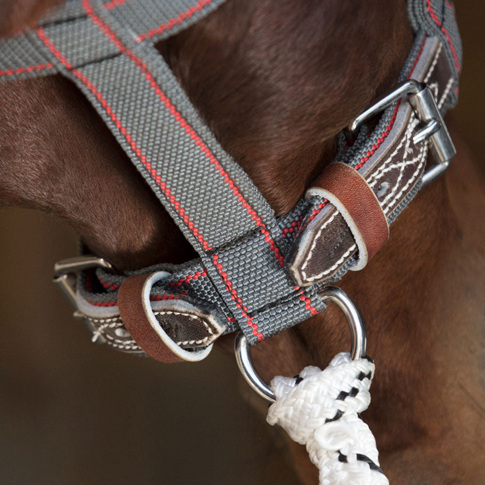 Angus Barret Saddlery Tie Up Halter - Chin Adjustment