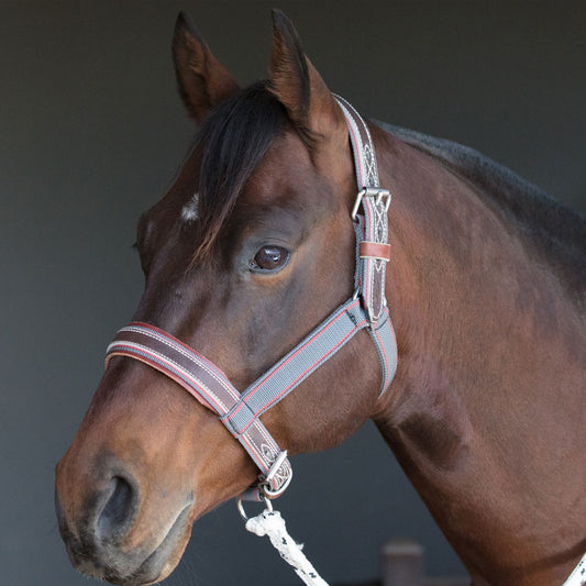 Tie Up Halter - Angus Barrett Saddlery