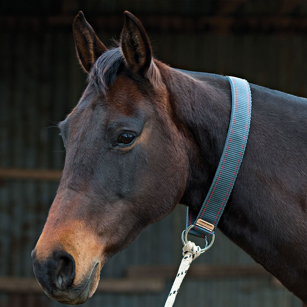 Webbing Horse Neck Tie or Pull Back Collar - Angus Barrett Saddlery