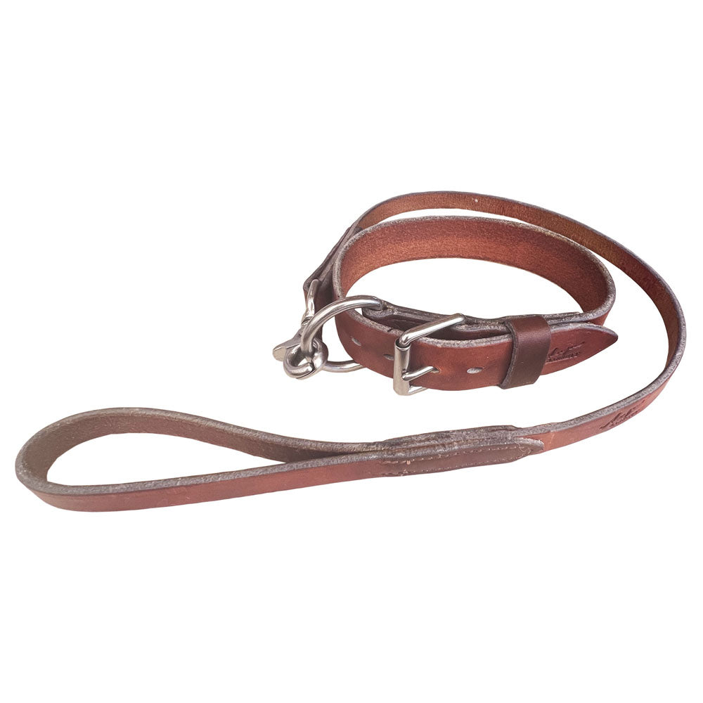Working Dog Collar with Short Dog Lead