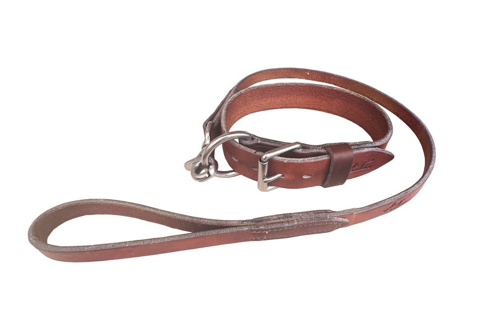 Dog leads online hotsell