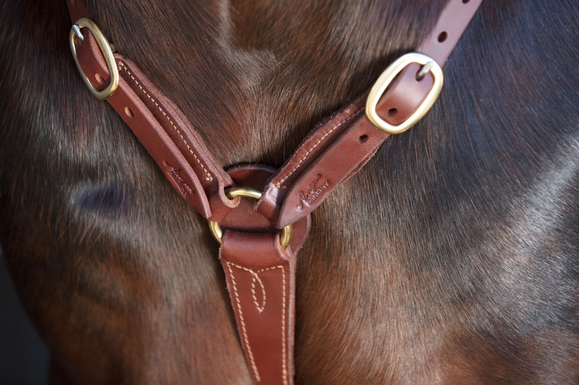Angus Barrett Station Breastplate - Natural with Brass Hardware