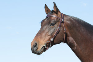 Angus Barrett's Sure Fit Shaped Brow Bridle