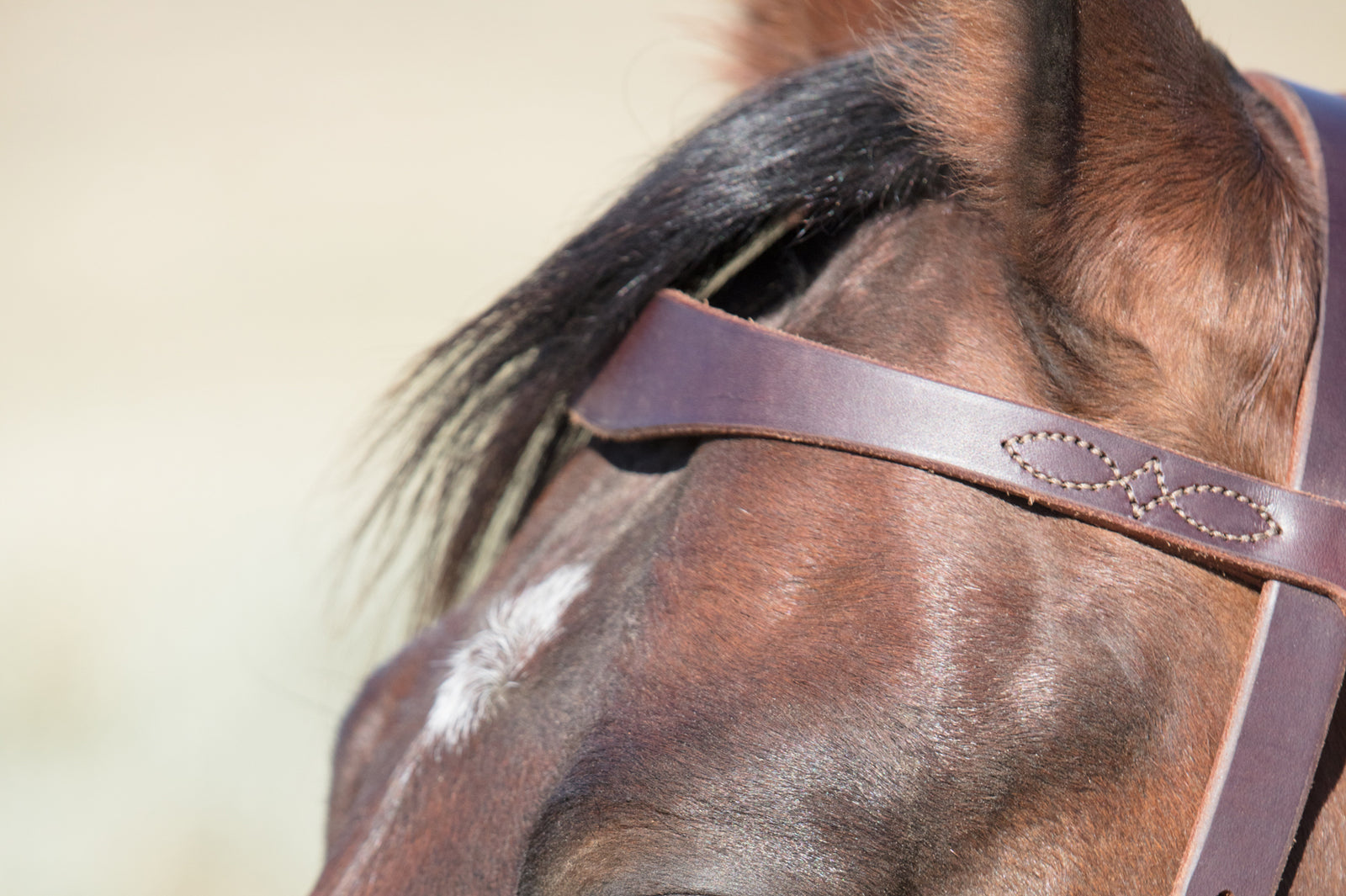 Angus Barrett's Sure Fit Shaped Brow Bridle