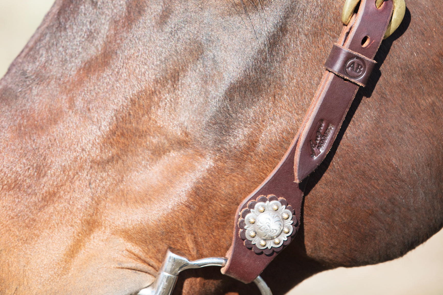 Angus Barrett's Sure Fit Shaped Brow Bridle has stunning berry conchos