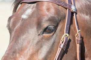 Angus Barrett's Sure Fit Shaped Brow Bridle