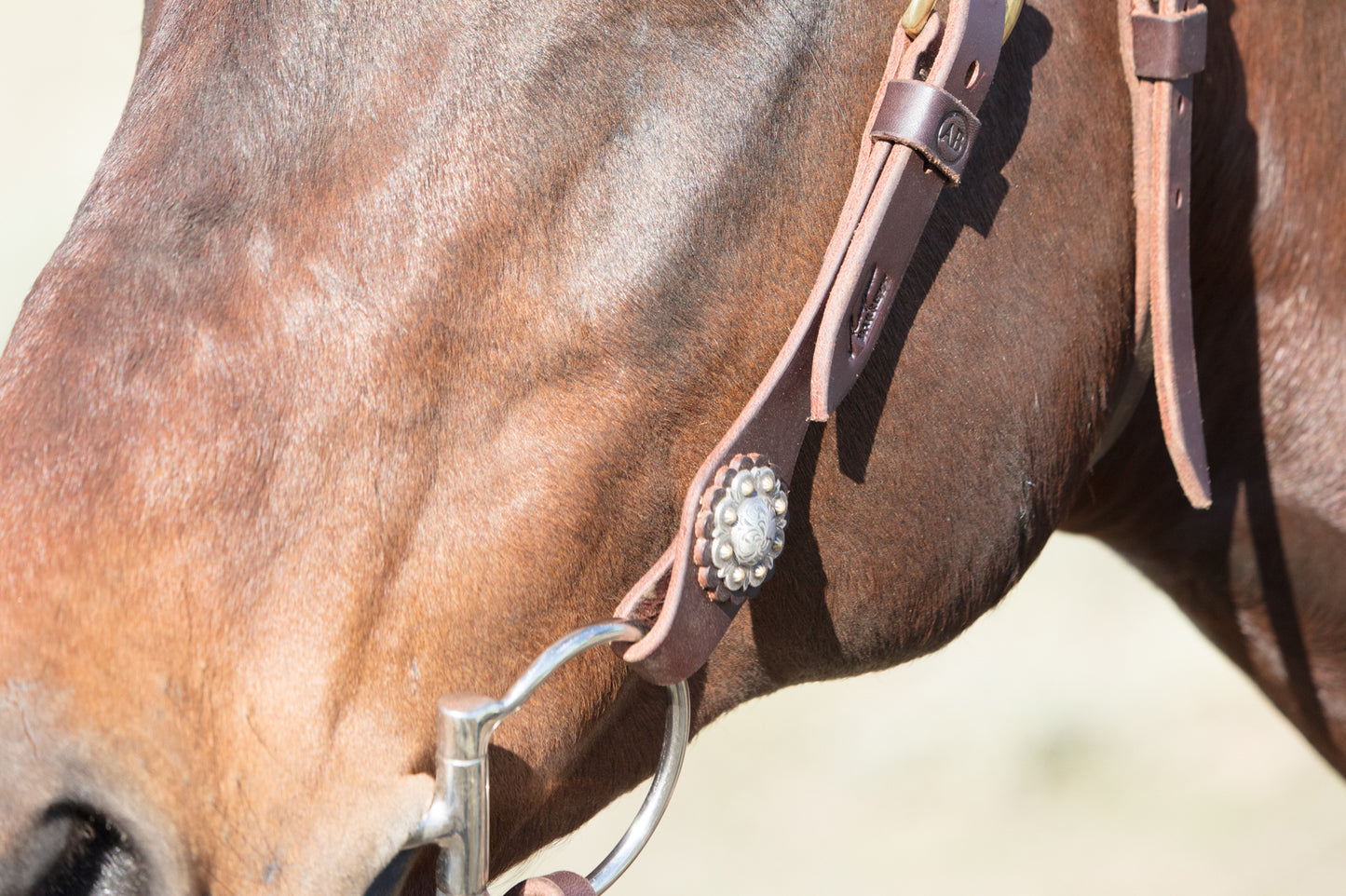 Angus Barrett's Sure Fit Shaped Brow Bridle has stunning berry conchos
