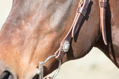 Angus Barrett's Sure Fit Shaped Brow Bridle has stunning berry conchos