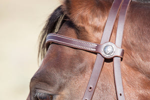 Angus Barrett Sure Fit La Pin Bridle features a beautiful shaped brow and black accented hardware