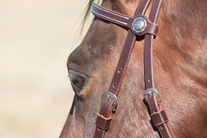 Angus Barrett Sure Fit La Pin Bridle features a beautiful shaped brow and black accented hardware